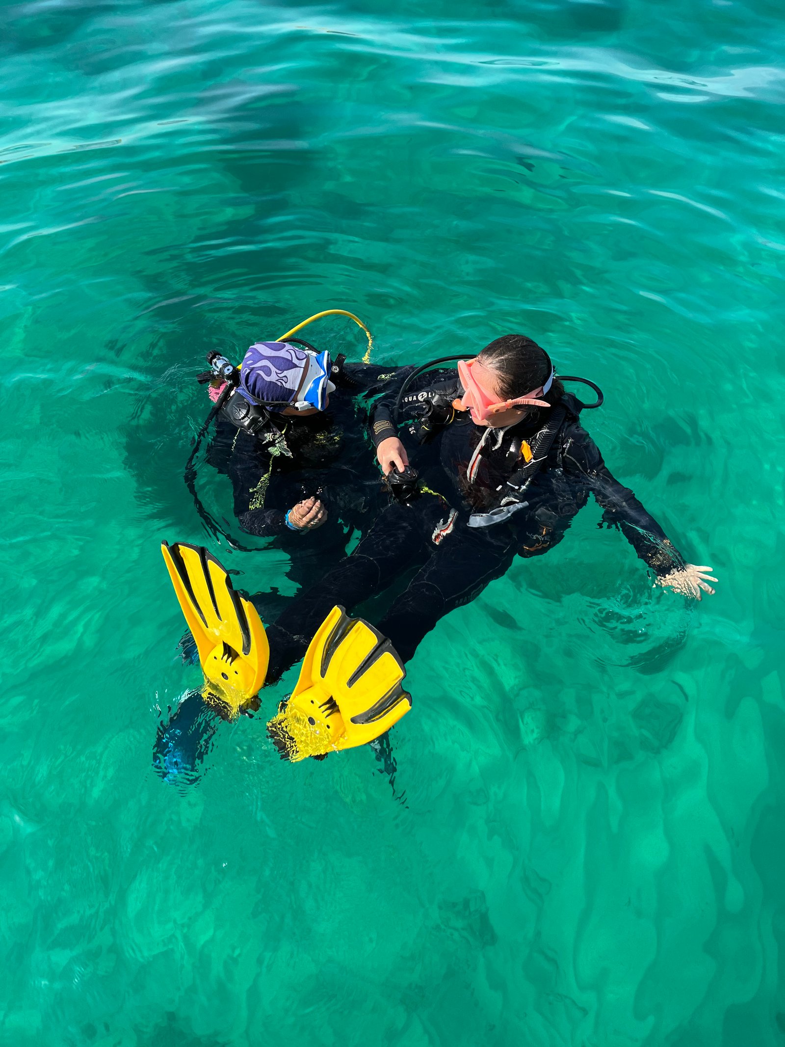 Beginner dive image 4