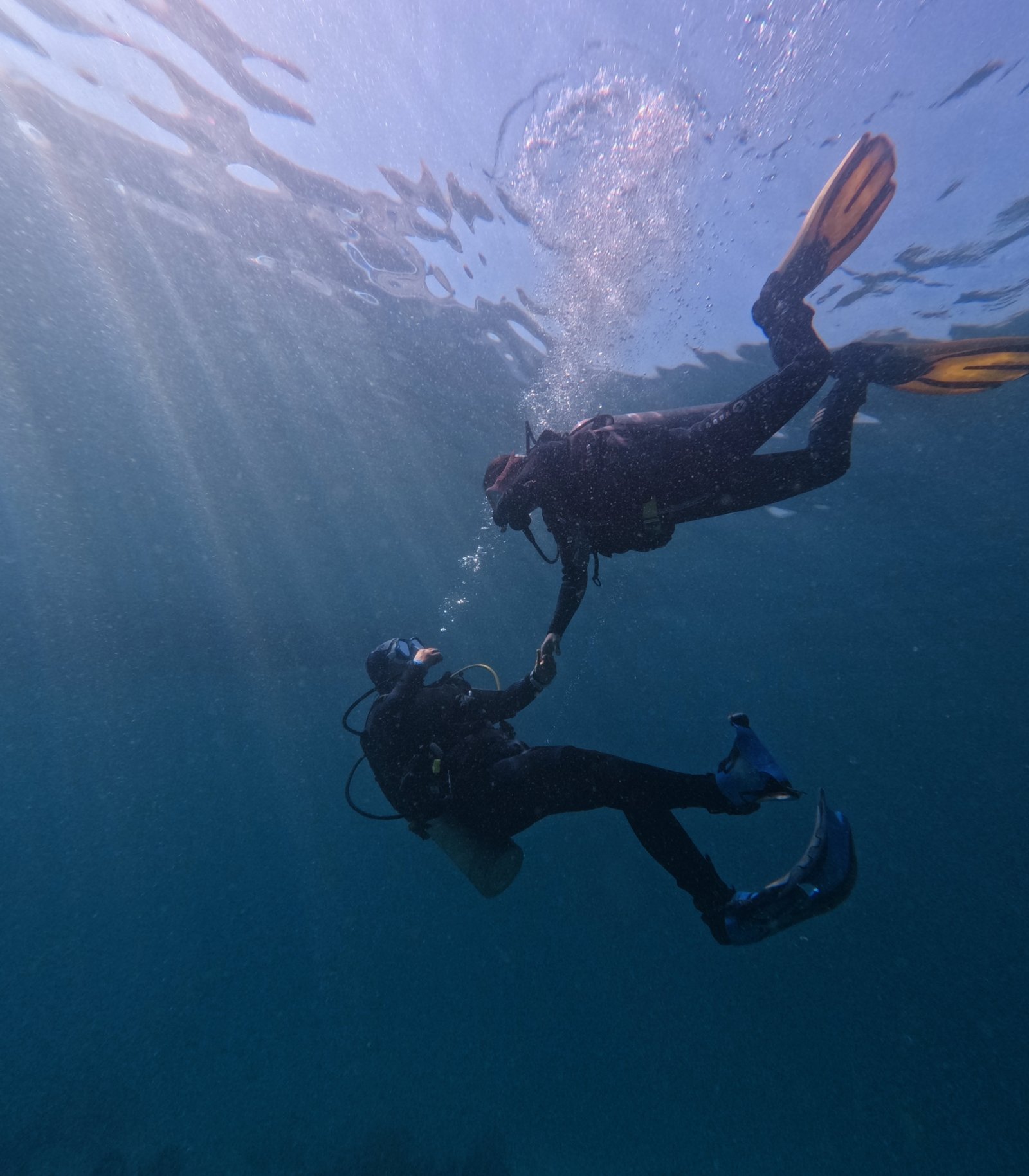 Scuba diving in Oman