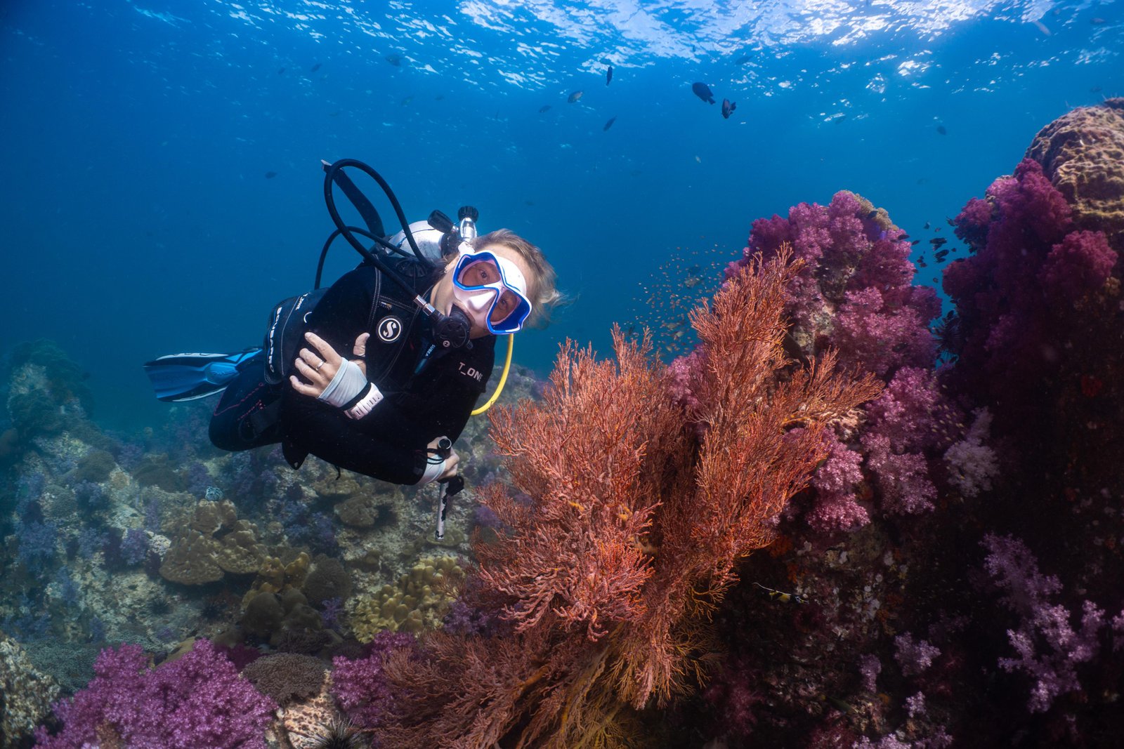 Diver in clear blue water