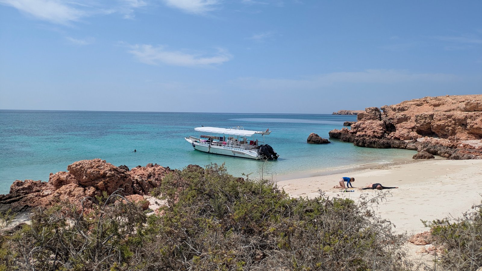 Diver in vertical portrait