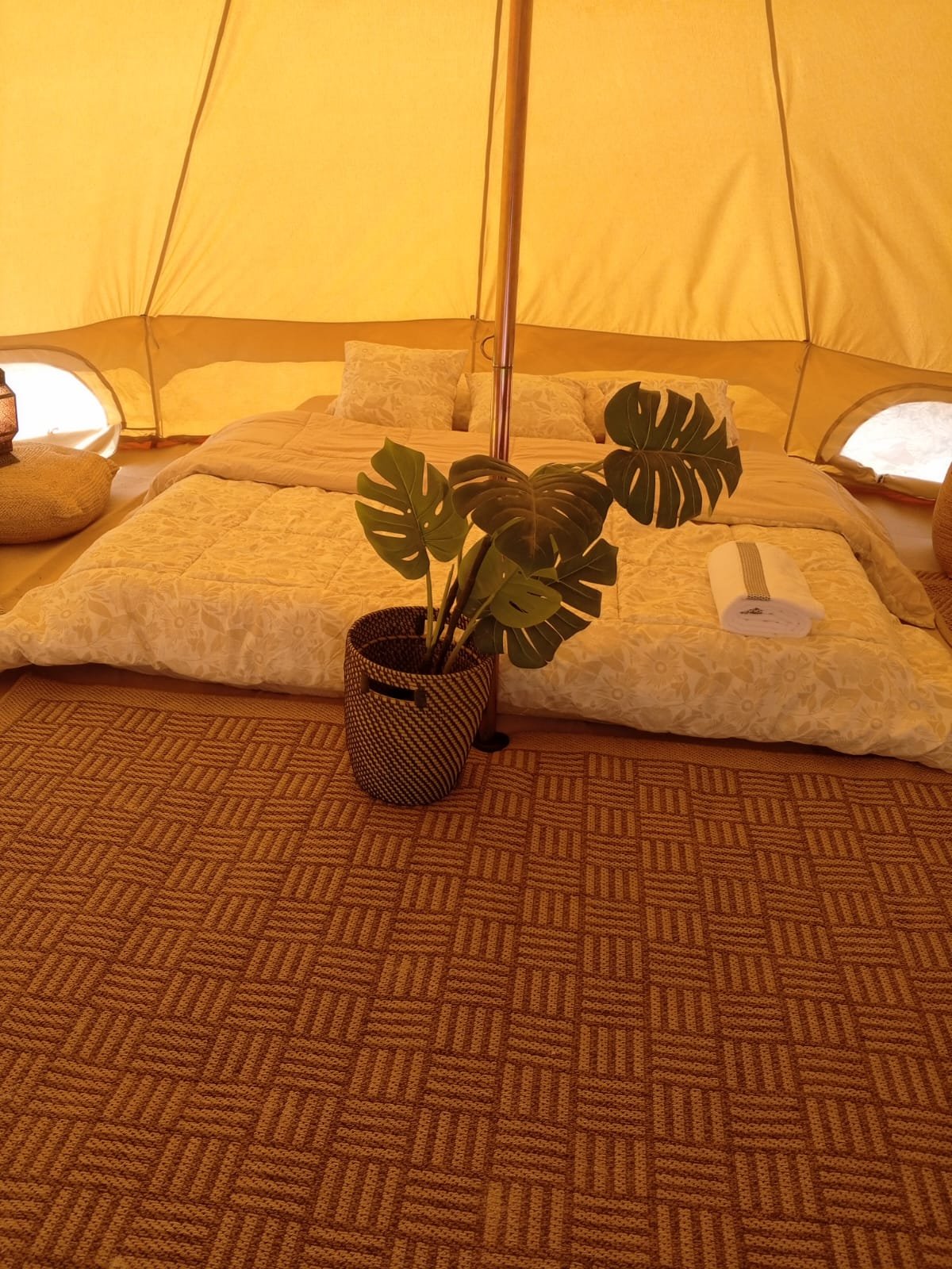 Glamping Dimaniyat image 1