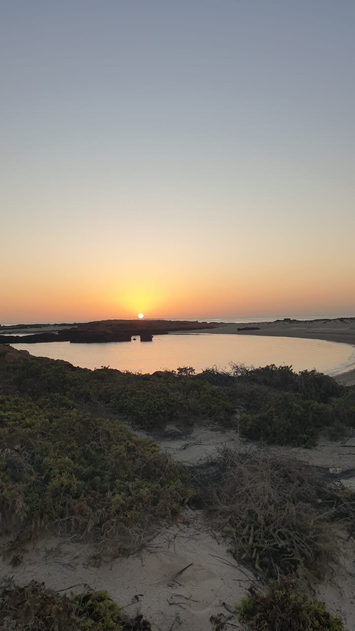 Glamping Dimaniyat image 6