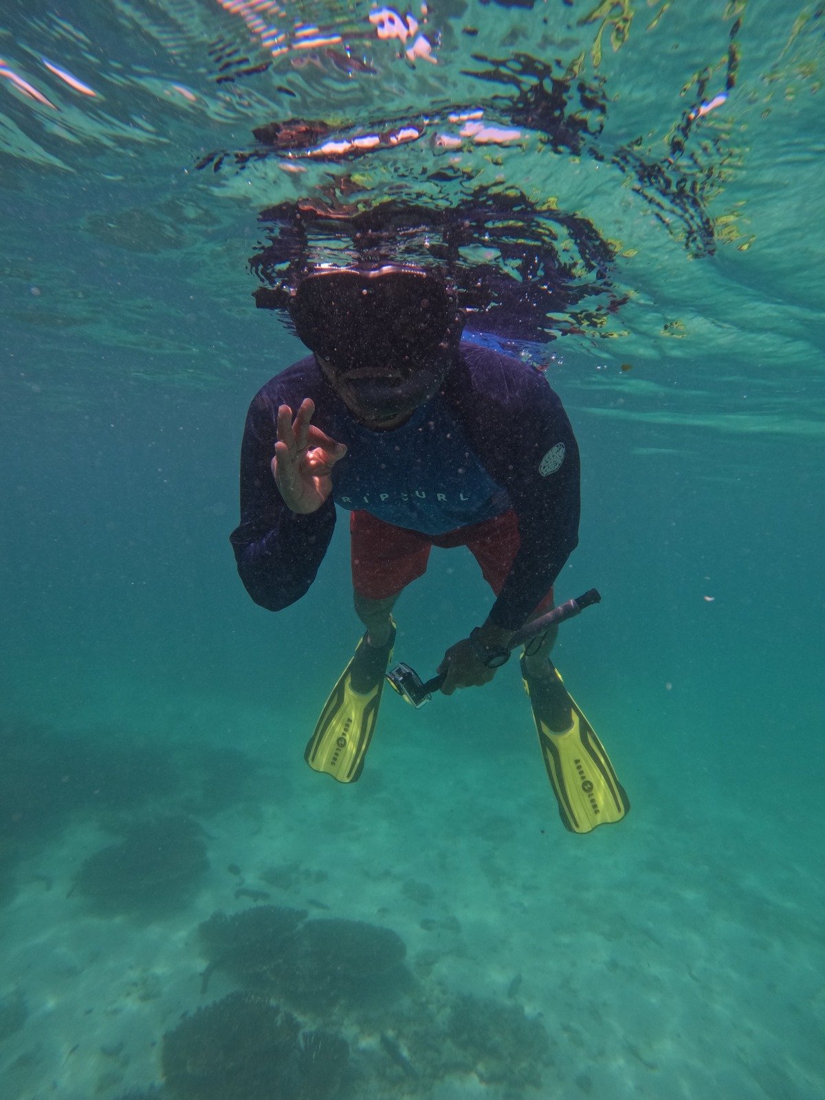 Snorkeling trip image 2