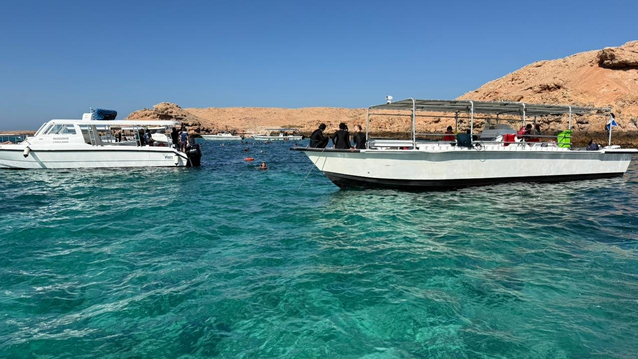 Dimaniyat snorkeling image 12