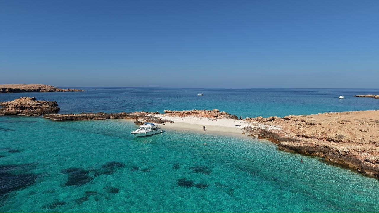 Dimaniyat snorkeling image 6