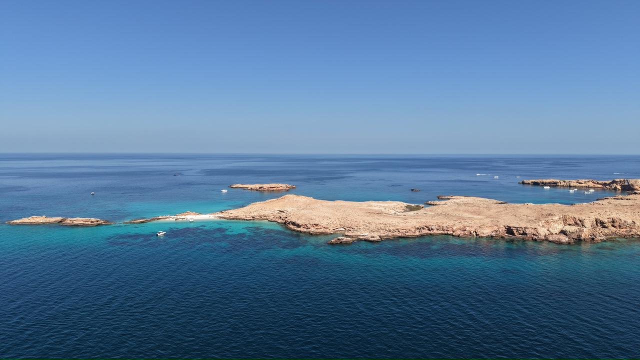 Dimaniyat snorkeling image 9